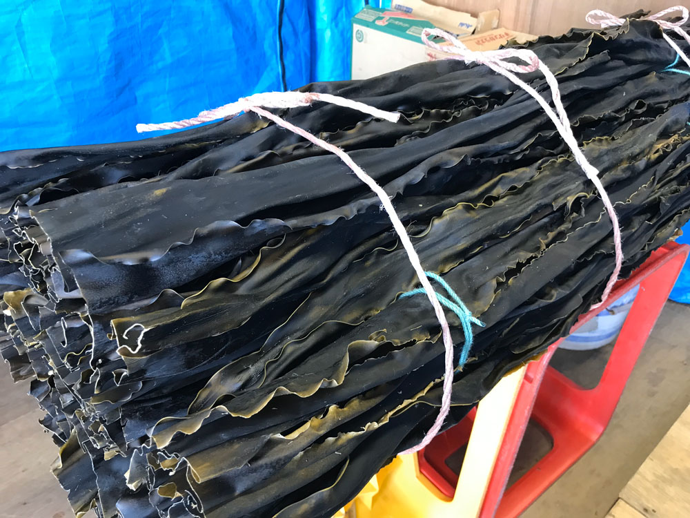 日高昆布 特上浜 井寒台 1等